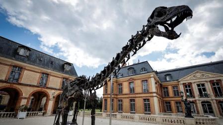 El esqueleto del apatosaurus llamado Vulcain exhibido en el castillo de Dampierre antes de ser subastado en Francia