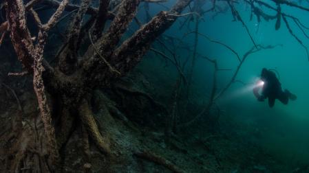 Buceo en las Lagunas de Ruidera. Ciudad Real