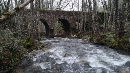 Río en los alrededores de La Alberca.