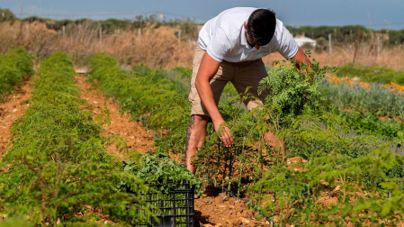 Un joven agricultor