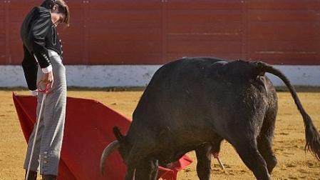 Novillada para alumnos de la Escuela de Tauromaquia de Salamanca