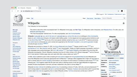 Wikipedia en la Wikipedia