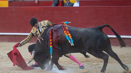 Cómo ser figura vestido de luces y en la dehesa (En Valencia)