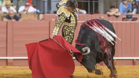 El diestro Roca Rey da un pase con la muleta a su primer toro, este viernes en la Real Maestranza de Sevilla. 