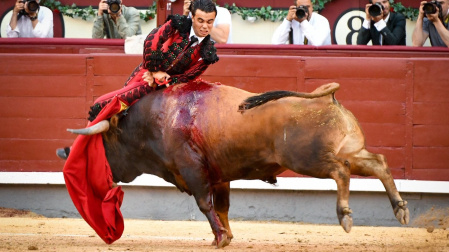 García Pulido exhibe su gran clase y corta una oreja de peso en Madrid 