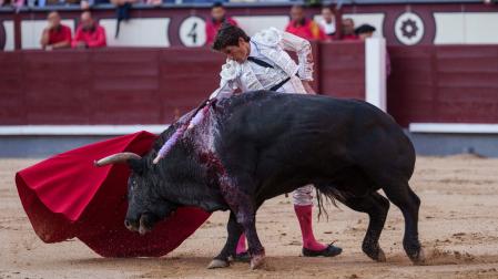 Toros en las ventas. David Jar