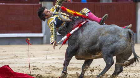 El diestro José Garrido sufre una cogida durante la faena a su primer toro, de la ganadería de Adolfo Martín, y que estoquea Fernando Robleño, en el decimosexto festejo de la Feria de San Isidro, que se celebra este domingo en la Monumental de las Ventas, Madrid.-