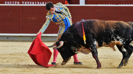 CORRIDA EN ALBECATE