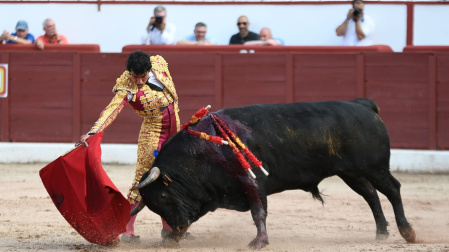 Así fue la grave cornada de Juan del Álamo de 25 y 15 cm que lo dejó solo con seis a Fonseca, también herido grave