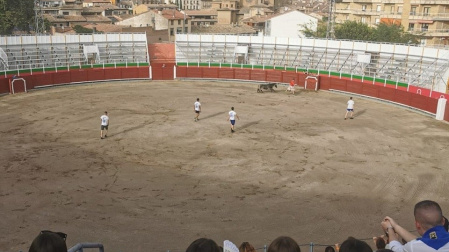 Los toros, protagonistas en las Fiestas en honor a la Natividad de Nuestra Señora de Barbastro (Huesca)