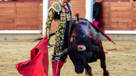 Novillada de resaca, a pesar del ganado