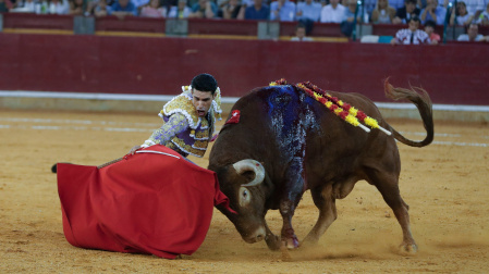 Poderoso muletazo por bajo de Talavante en Zaragoza