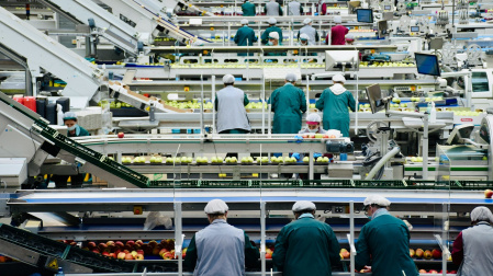 Trabajadores en una fábrica