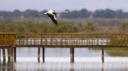 El Parque Nacional de Las Tablas de Daimiel