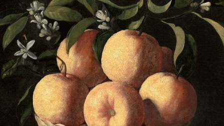 Detalle de "Bodegón con cidras, naranjas y rosa", de Zurbarán