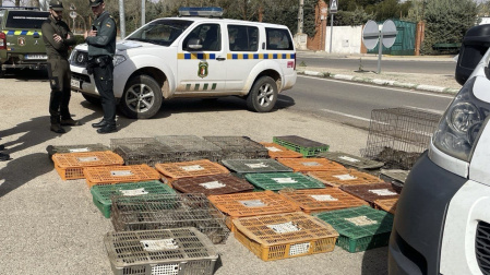 Conejos capturados ilegalmente por una persona detenida en El Toboso (Toledo)