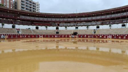 Suspendida la Corrida Picassiana de Málaga