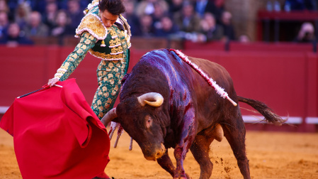 Morante, Castella y Roca Rey abren la temporada 2024 en la Maestranza. 