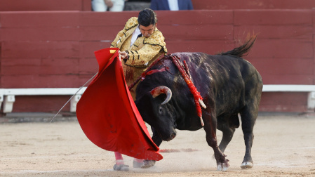 Festejo taurino del Corpus de Toledo