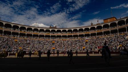 Toros en la Feria del San Isidro. @Gonzalo Pérez Mata 