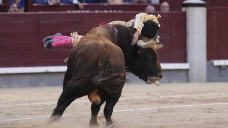 El diestro Francisco José Espada sufre una cogida en la faena a su segundo toro durante la corrida de la Feria de San Isidro celebrada este domingo en la Plaza de Las Ventas. 