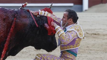 El torero Damián Castaño sufre una cogida durante la corrida de toros de la Feria de San Isidro, con toros de la ganadería de José Escolar para los diestros Fernando Robleño, Gómez del Pilar y Damián Castaño, este martes en la Plaza de Toros de Las Ventas, en Madrid. 