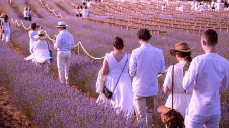 Festival de la Lavanda en Brihuega (Guadalajara)