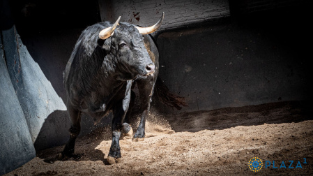 Estos son los imponentes toros de Valdefresno para la tarde de hoy en Las Ventas