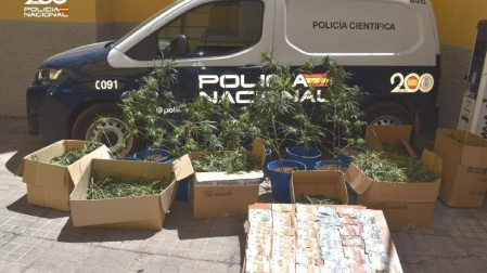 Desmantelan un peligroso clan familiar dedicado al cultivo 'indoor' de marihuana en Ciudad Real