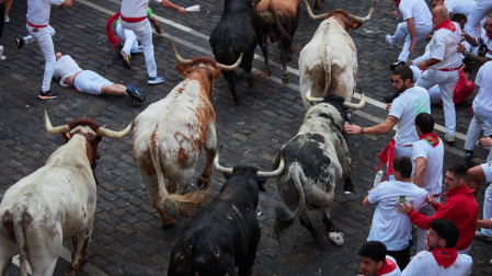 Seis heridos en el segundo encierro de los Sanfermines