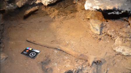 En la cueva de Coggs se han hallado palos podados cuidadosamente