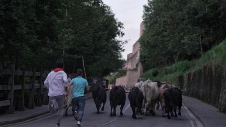 ¿Qué es, en qué consiste y cuándo se realiza "El Encierrillo" en Pamplona?