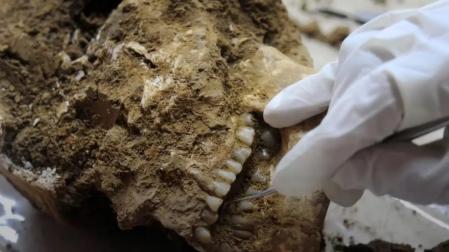 Uno de los restos encontrados en el cementerio de Aven de la Boucle