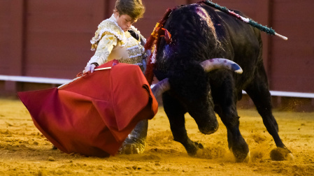 Toros San Miguel