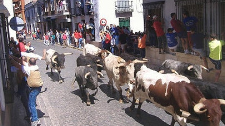 Encierros de Almodóvar del Campo (Ciudad Real)