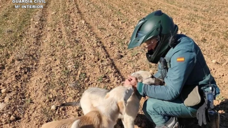 Agente de la Guardia Civil con dos perros