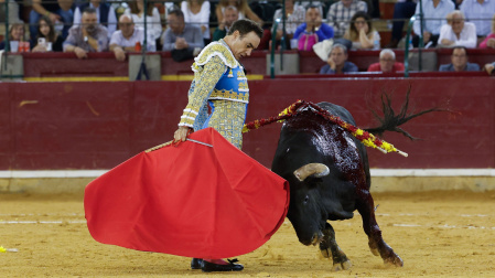 Feria Taurina del Pilar