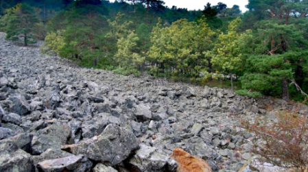 Río de piedra de Orea (Guadalajara)