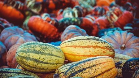 Nabos en lugar de calabaza