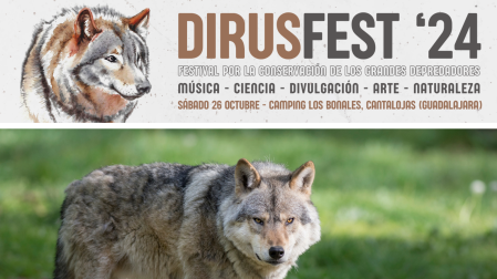 Un festival en defensa del lobo desata la furia de ganaderos, agricultores y cazadores de Guadalajara