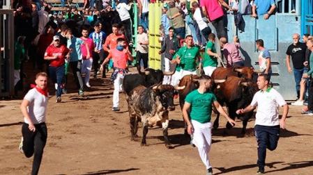 Á Punt televisó por primera vez un festejo taurino