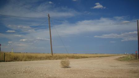 Un "tumbleweed" o estepicursor