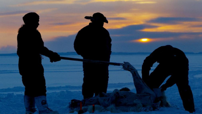 Cazadores inuit abaten un oso polar | Fotografía de archivo