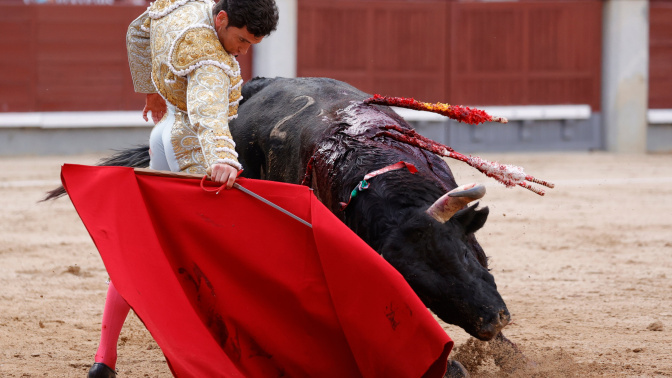 Tomás Campos hoy en Las Ventas