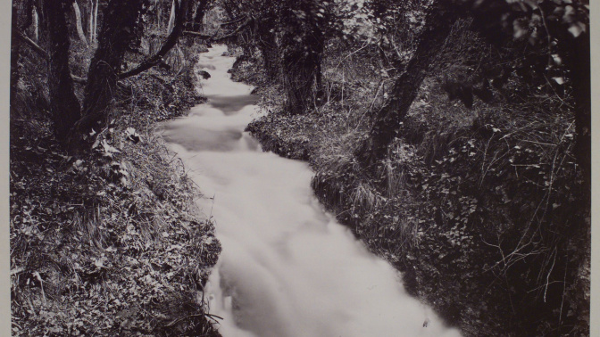 Vista del torrente llamado de los Mirlos, en el Monasterio de Piedra que Laurent  tomó junio de 1877