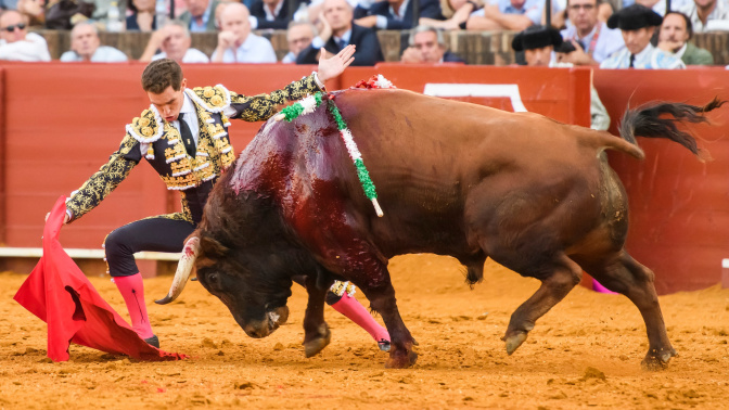 SEVILLA, 25/09/2022. - El diestro Ginés Marín da un pase con la muleta a su segundo toro, durante la corrida de la Feria de San Miguel celebrada este domingo en la Plaza de la Maestranza de Sevilla. EFE/Raúl Caro