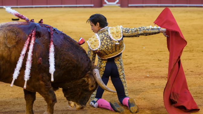 Corrida de toros en la Maestranza