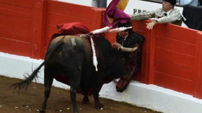 Roca Rey, cogido en Santander 