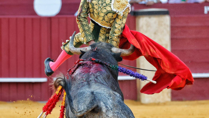 David de Miranda, herido en Málaga