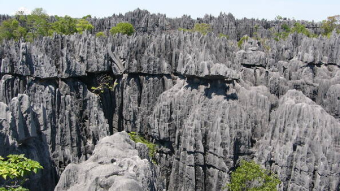 Bosques Secos de Andrefana